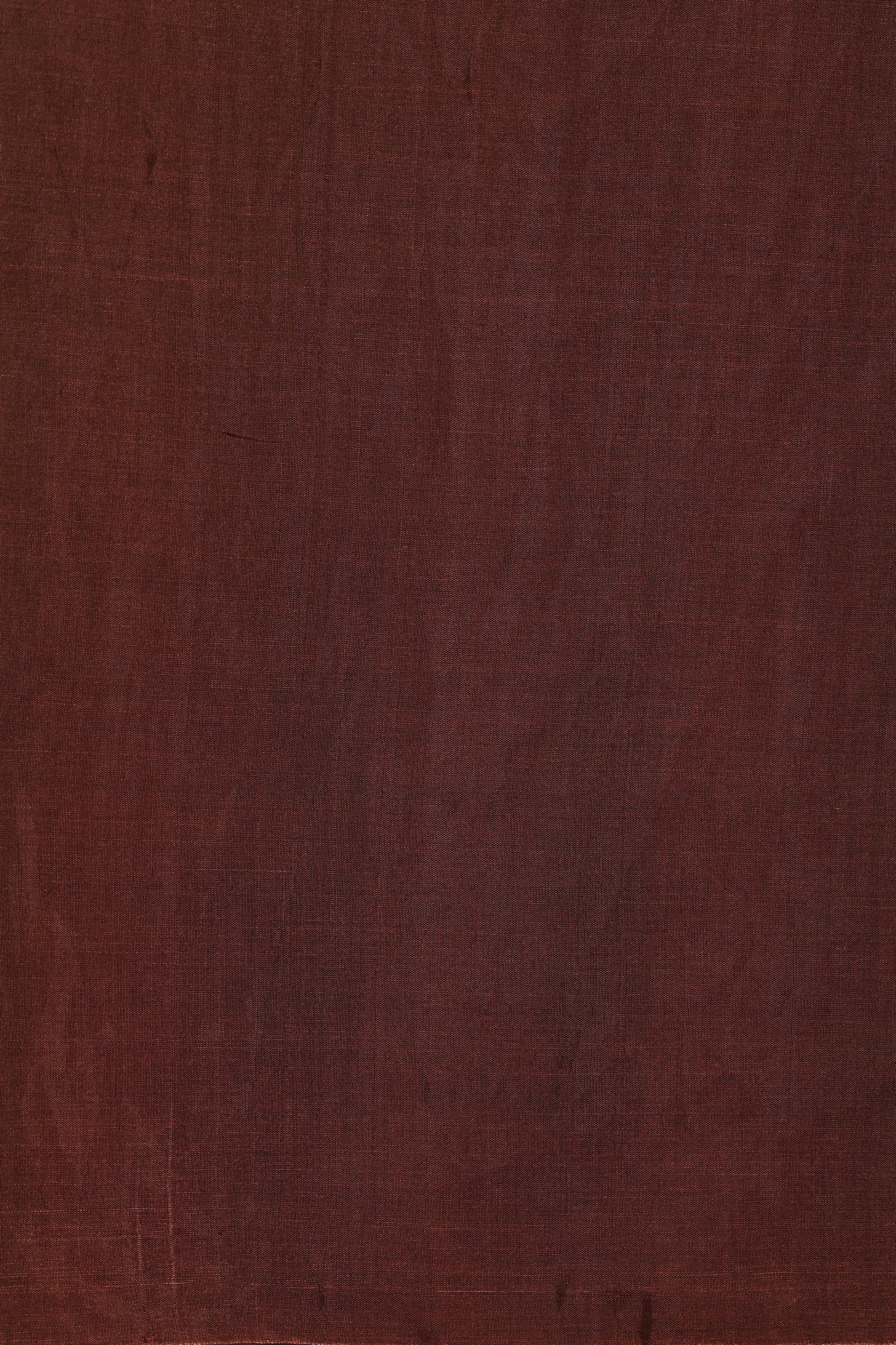 “Jeevani” (जीवनी) - Essence of Life